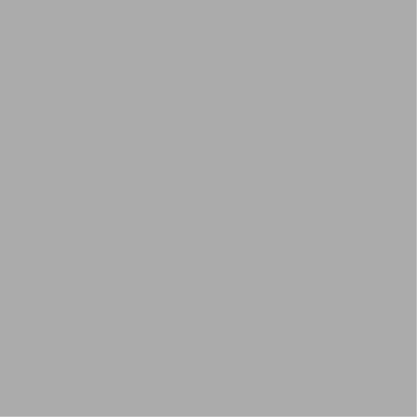grey box placeholder