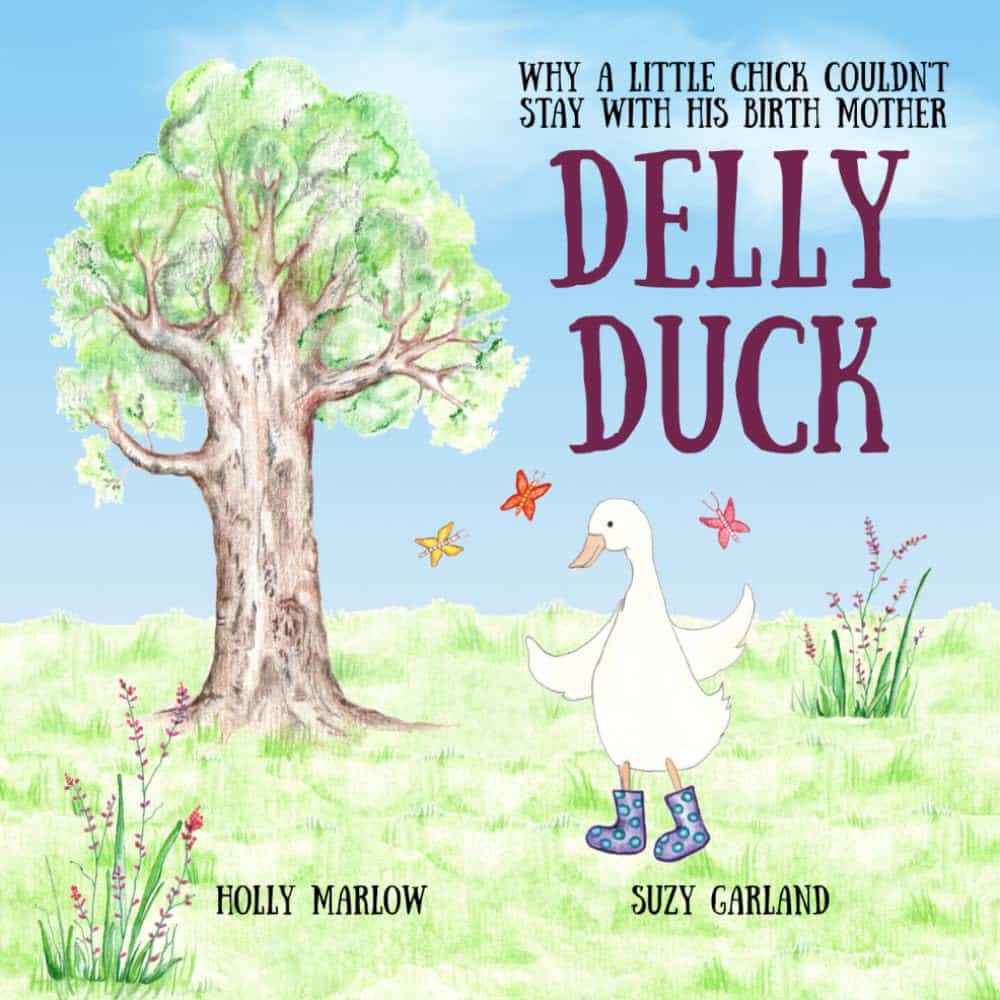 Book cover for 'Delly Duck: Why a Little Chick Couldn't Stay with His Birth Mother' by Holly Marlow, showing a therapeutic illustration of Delly Duck opening complex conversations for fostered children.