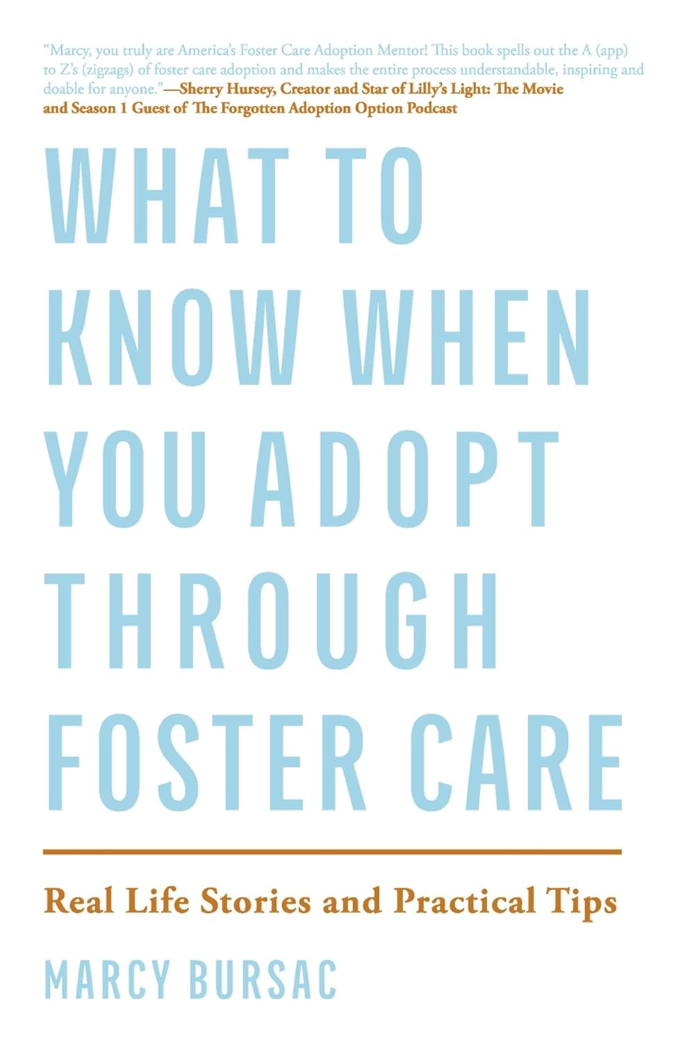 Book cover for 'What to Know When You Adopt Through Foster Care' by Marcy Bursac, reflecting a practical companion framework containing real stories and timeline tips."
